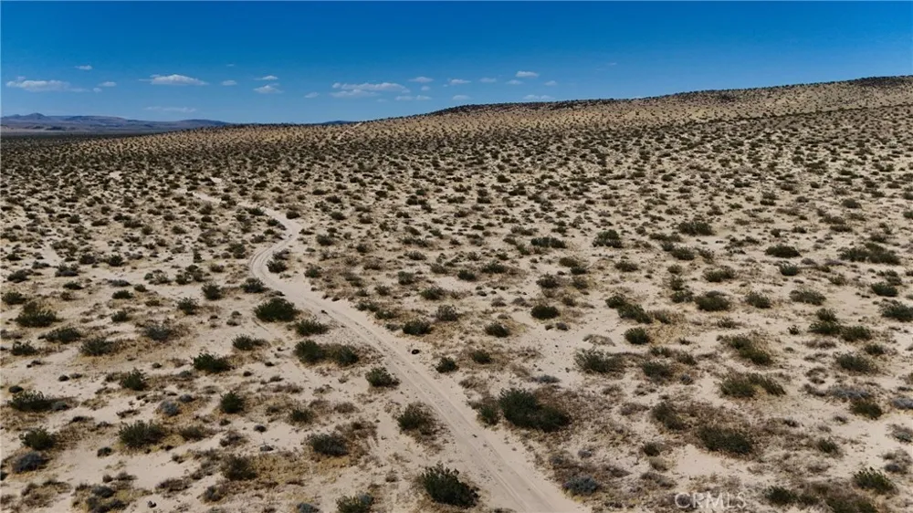 736 Fossil Bed (NEAR) Road Hinkley, CA 92347