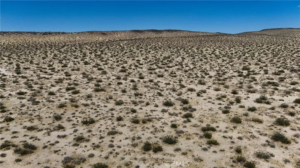 736 Fossil Bed (NEAR) Road Hinkley, CA 92347
