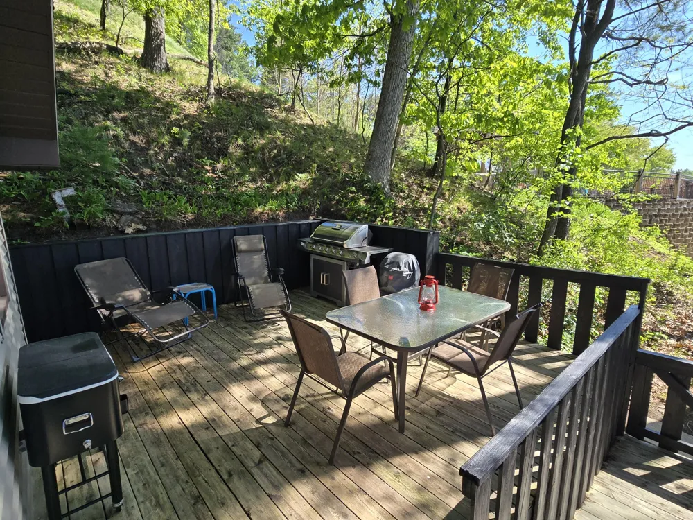 601 W Baldwin Lake Drive Greenville City, MI 48838