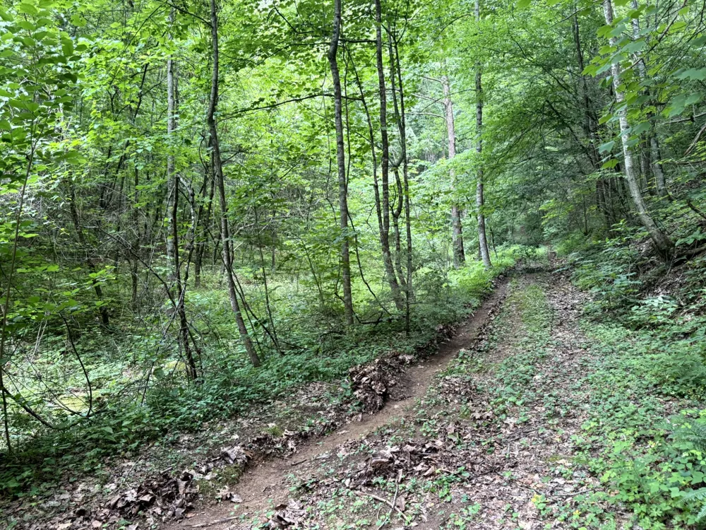 2110 Duck Pond Ln Sevierville, TN 37876