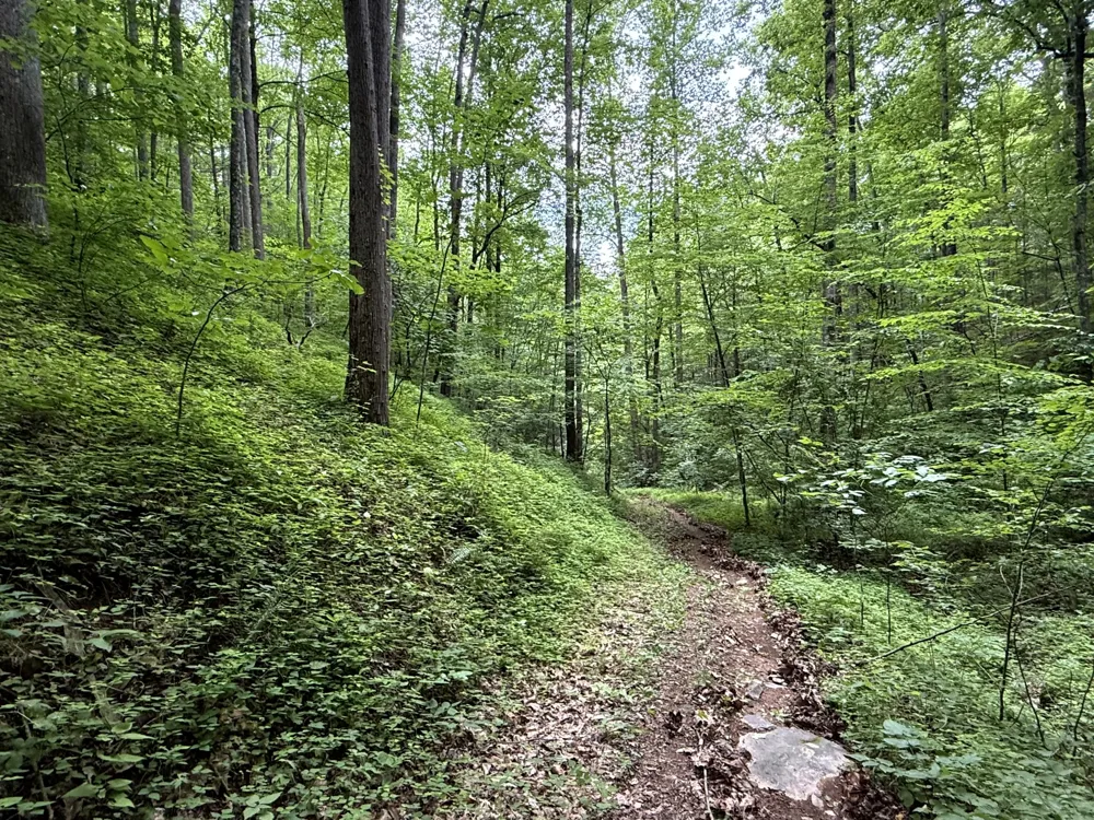 2110 Duck Pond Ln Sevierville, TN 37876