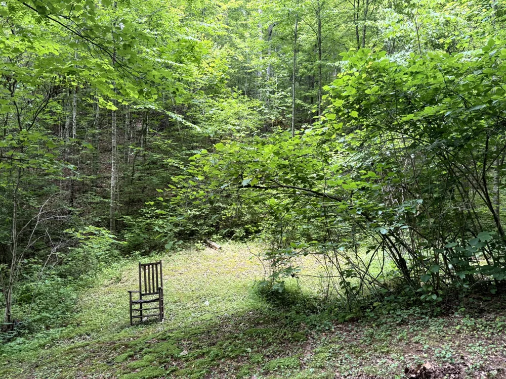 2110 Duck Pond Ln Sevierville, TN 37876