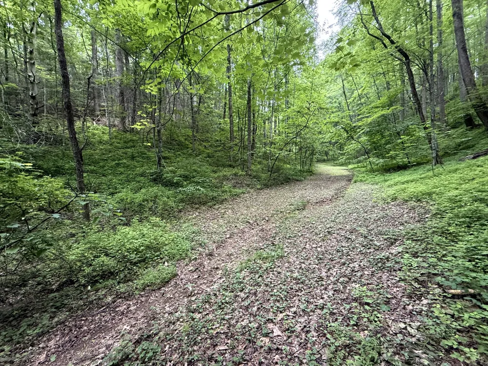 2110 Duck Pond Ln Sevierville, TN 37876