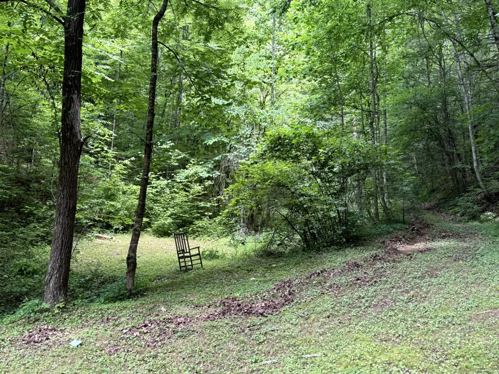 2110 Duck Pond Ln Sevierville, TN 37876