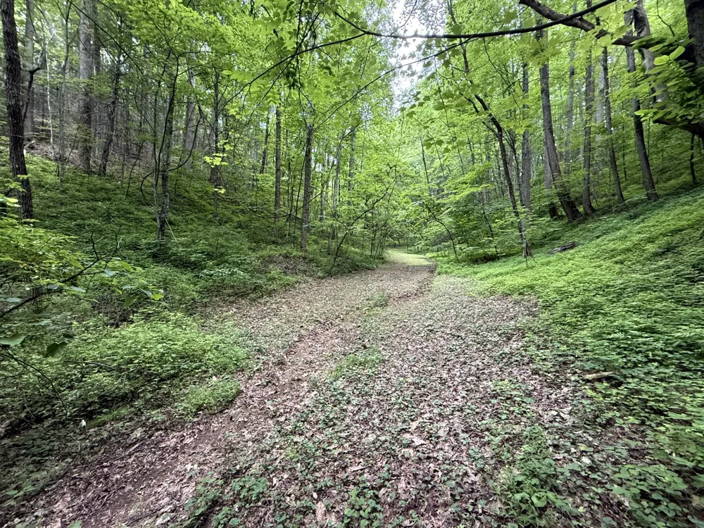 2110 Duck Pond Ln Sevierville, TN 37876