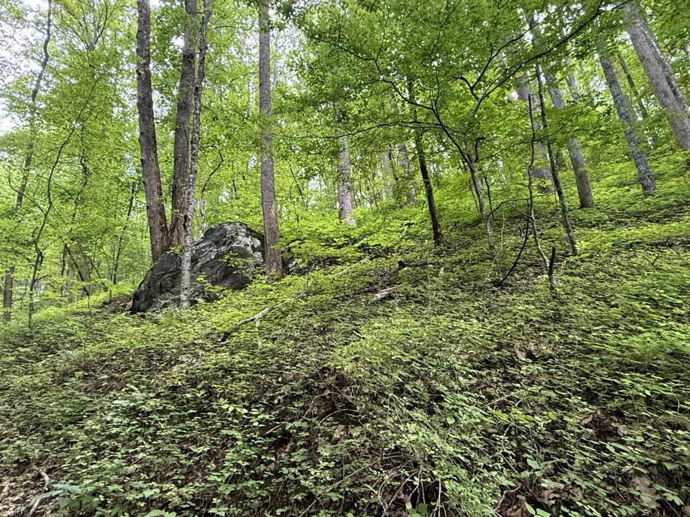 2110 Duck Pond Ln Sevierville, TN 37876