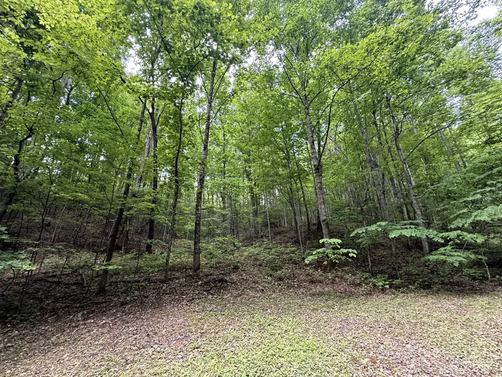 2110 Duck Pond Ln Sevierville, TN 37876