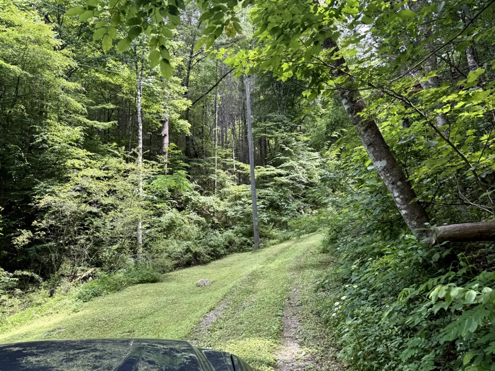 2110 Duck Pond Ln Sevierville, TN 37876