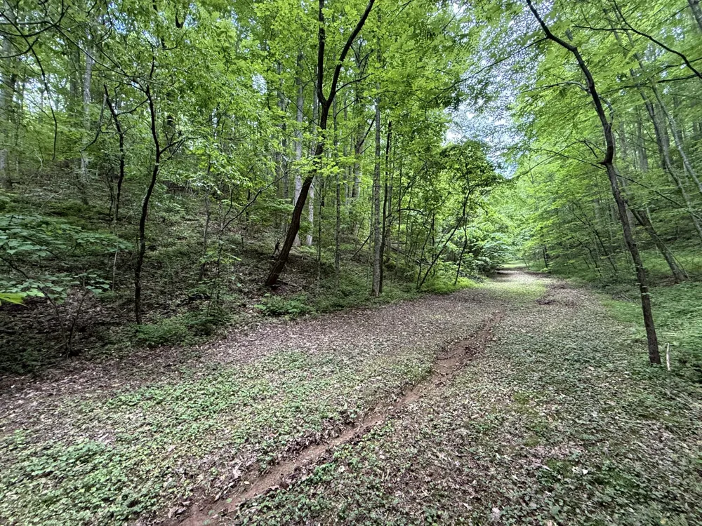 2110 Duck Pond Ln Sevierville, TN 37876
