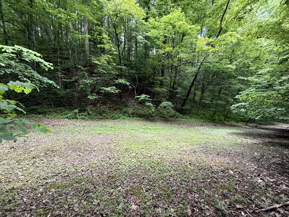 2110 Duck Pond Ln Sevierville, TN 37876