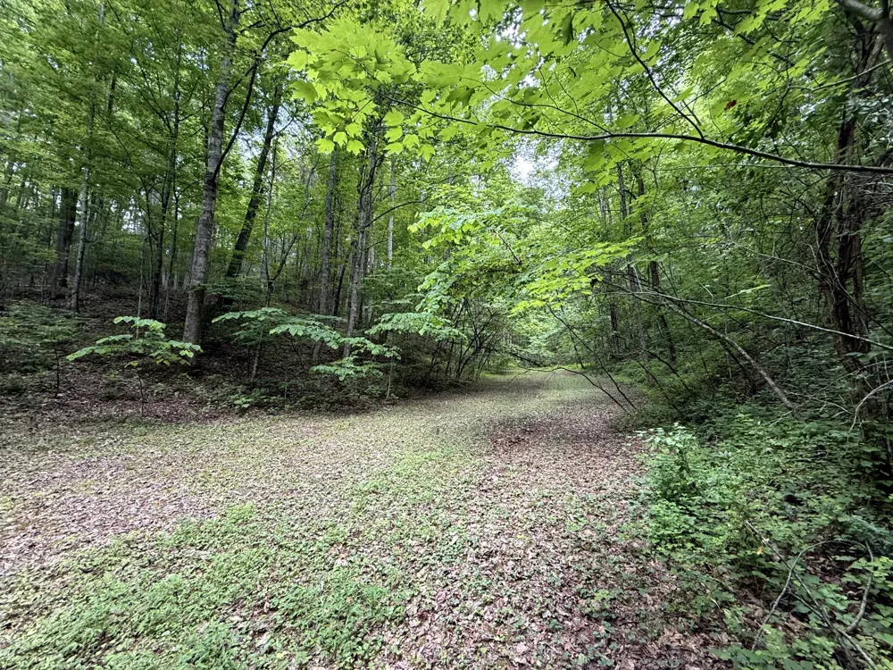 2110 Duck Pond Ln Sevierville, TN 37876