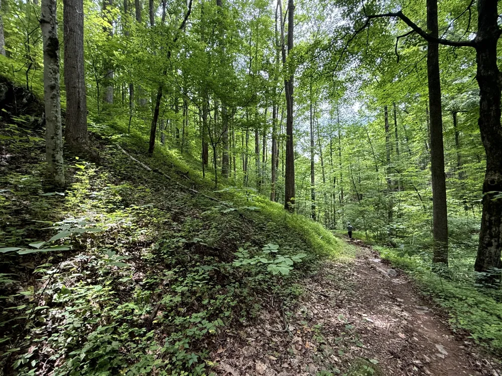 2110 Duck Pond Ln Sevierville, TN 37876