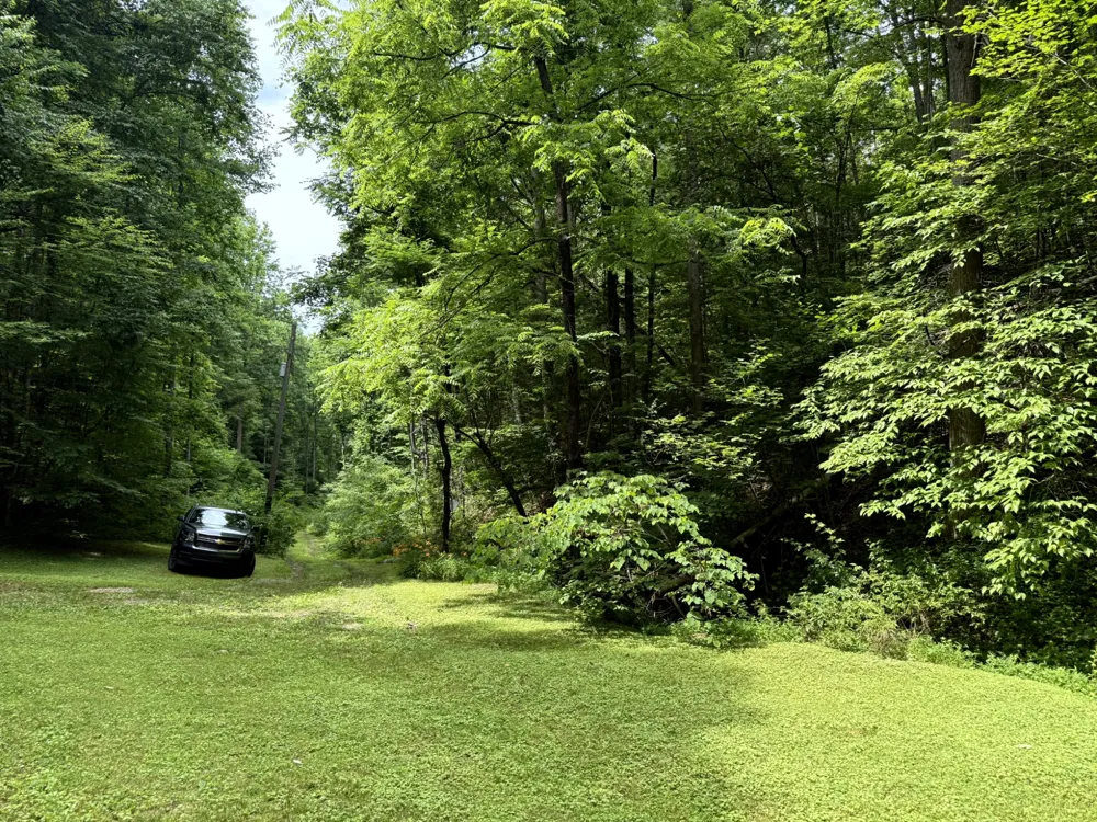 2110 Duck Pond Ln Sevierville, TN 37876