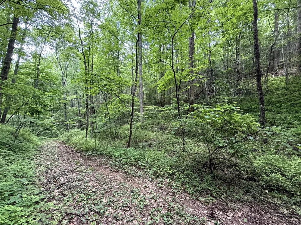 2110 Duck Pond Ln Sevierville, TN 37876
