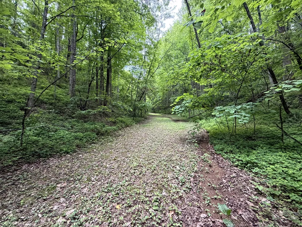 2110 Duck Pond Ln Sevierville, TN 37876