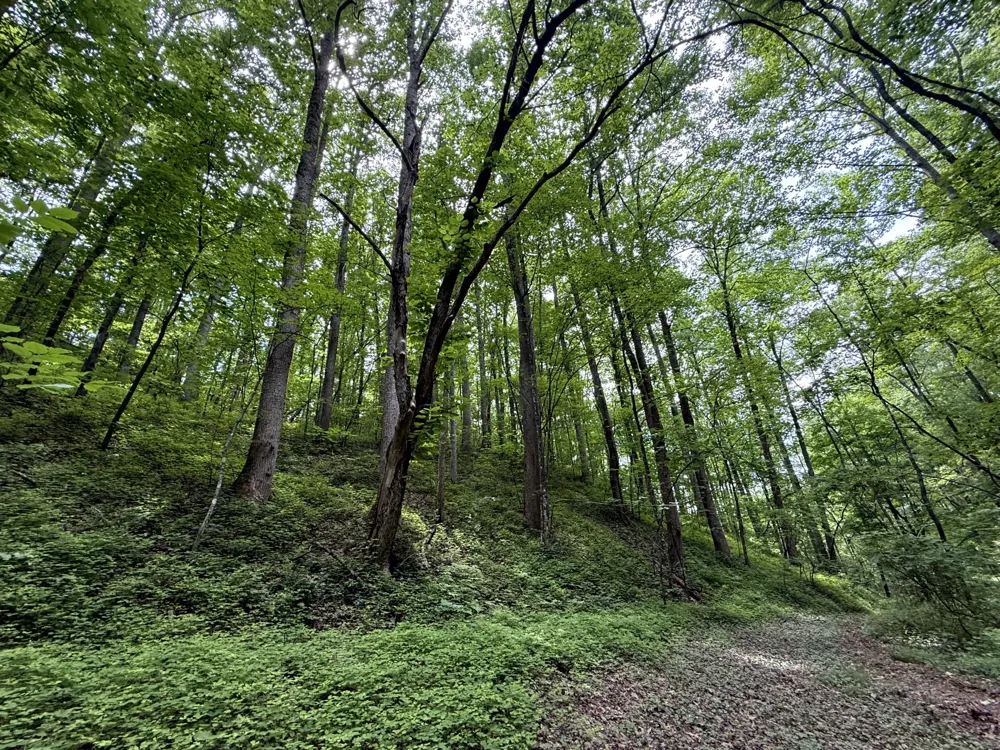 2110 Duck Pond Ln Sevierville, TN 37876