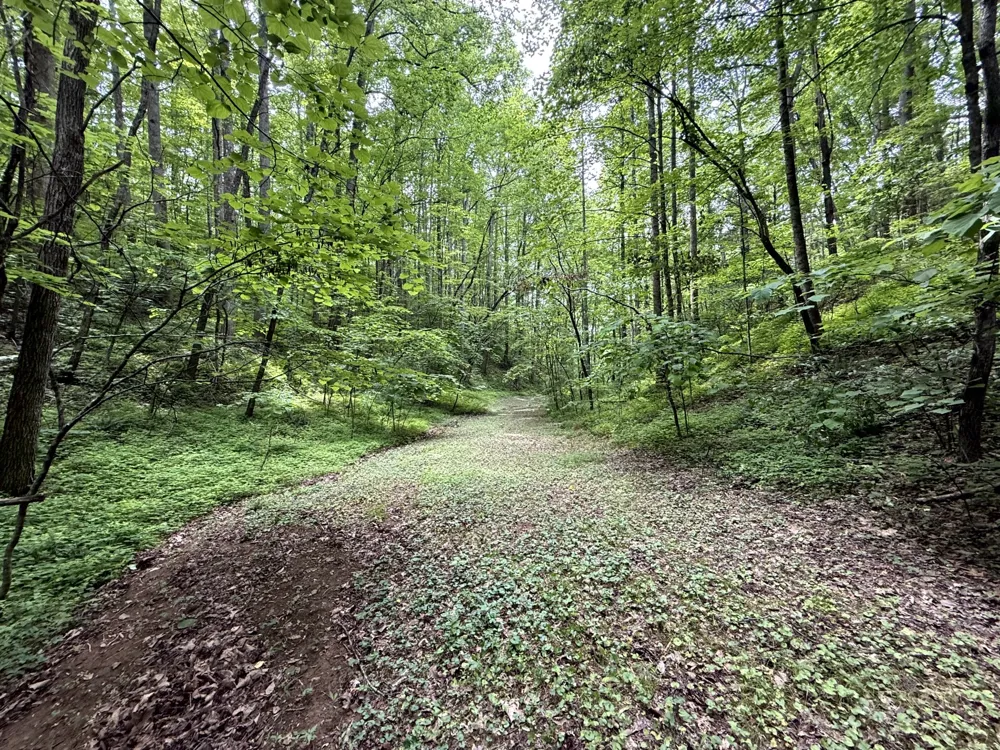 2110 Duck Pond Ln Sevierville, TN 37876