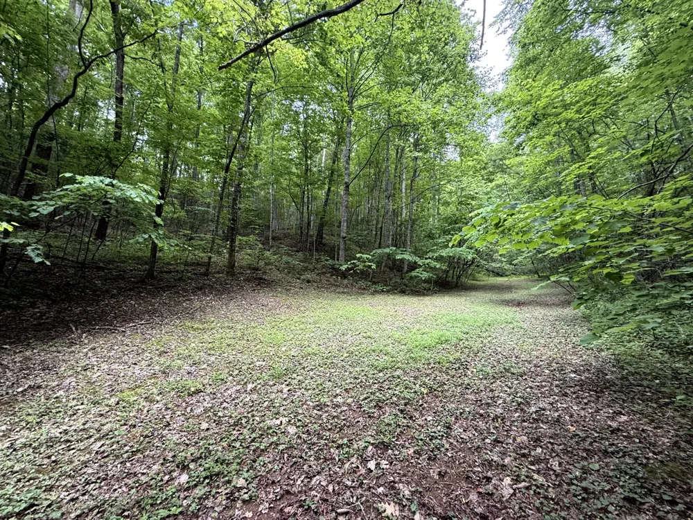 2110 Duck Pond Ln Sevierville, TN 37876