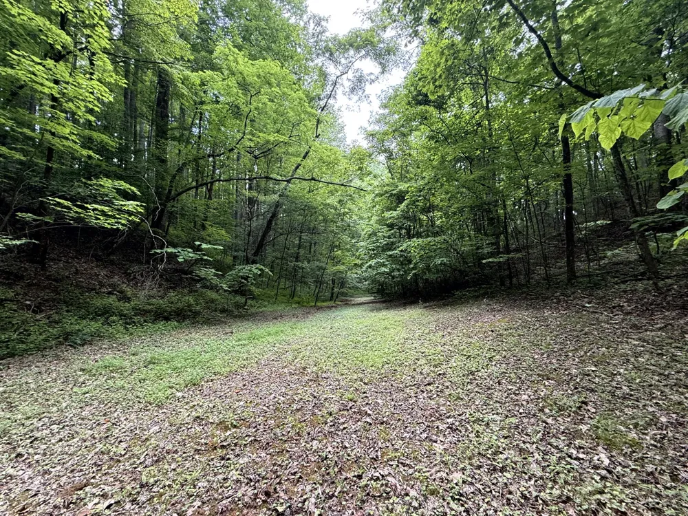 2110 Duck Pond Ln Sevierville, TN 37876