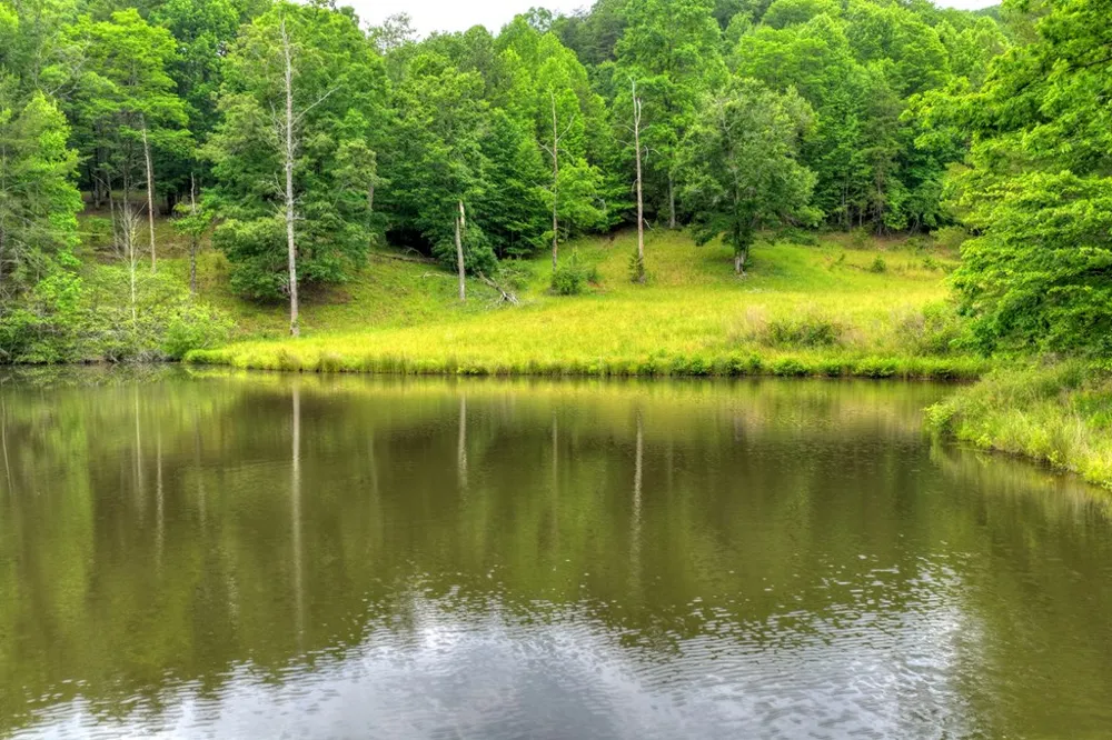 20.11 Ac Mountain View Road McCaysville, GA 30555