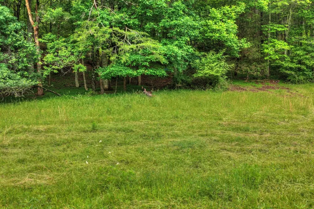 20.11 Ac Mountain View Road McCaysville, GA 30555