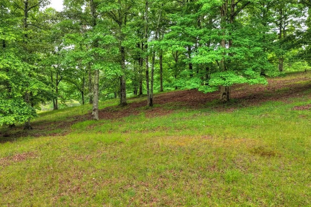 20.11 Ac Mountain View Road McCaysville, GA 30555