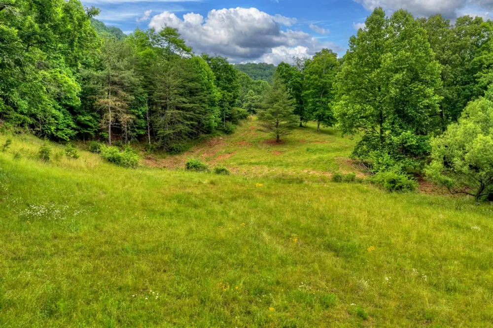 20.11 Ac Mountain View Road McCaysville, GA 30555