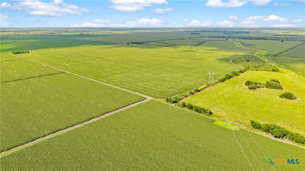1373 County Road 444 Louise, TX 77455
