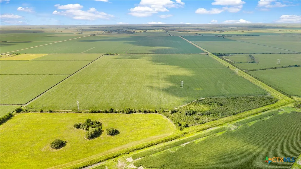 1373 County Road 444 Louise, TX 77455