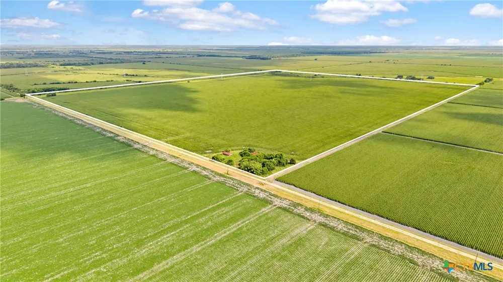1373 County Road 444 Louise, TX 77455
