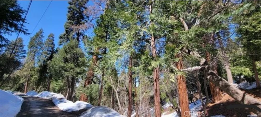 731 Jewel Drive Crestline, CA 92325