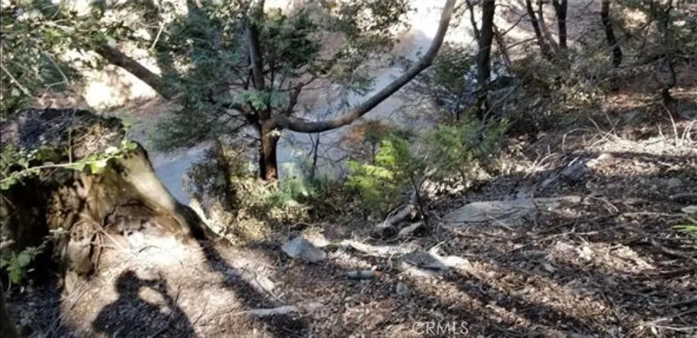 731 Jewel Drive Crestline, CA 92325