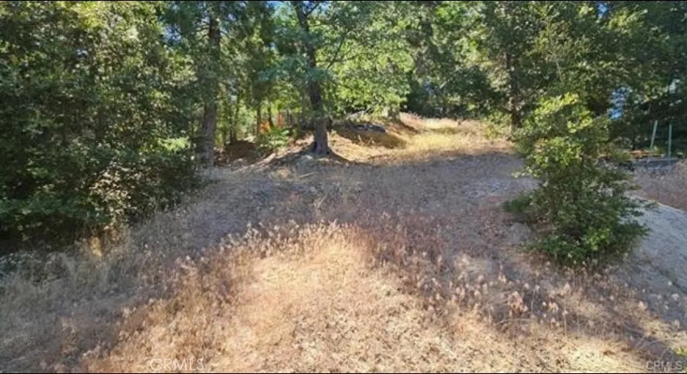 25126 Jewel Drive Crestline, CA 92325
