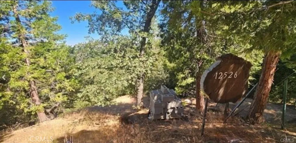 25126 Jewel Drive Crestline, CA 92325