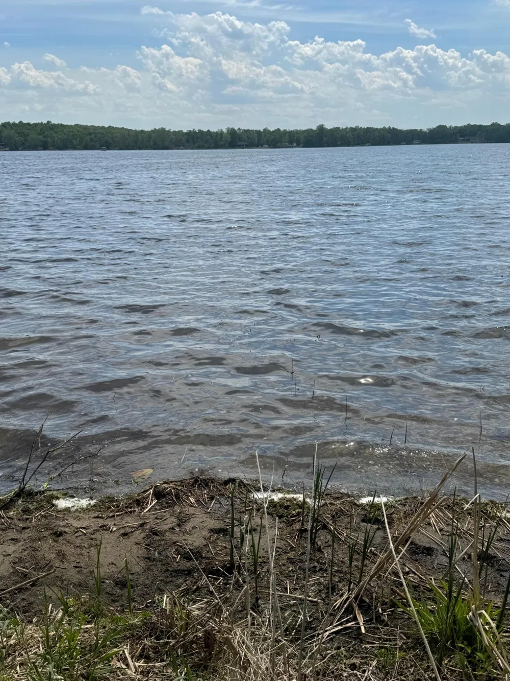31510 Landing Drive Dent, MN 56528