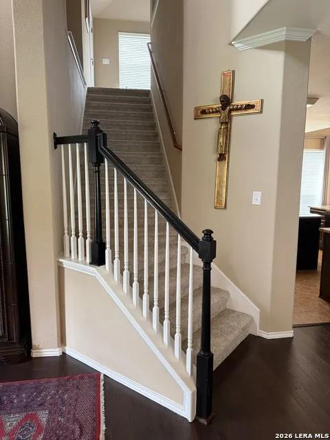 217 ASTER TRL San Antonio, TX 78256