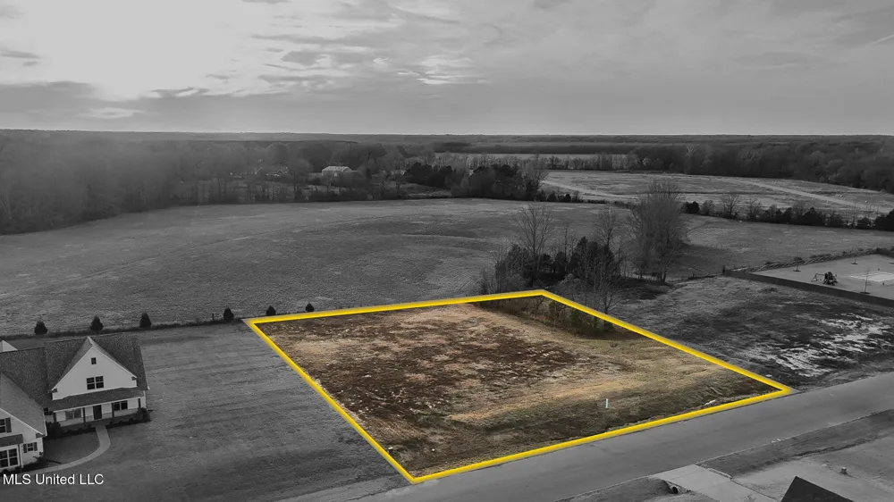 1505 Ashtons Lane Hernando, MS 38632