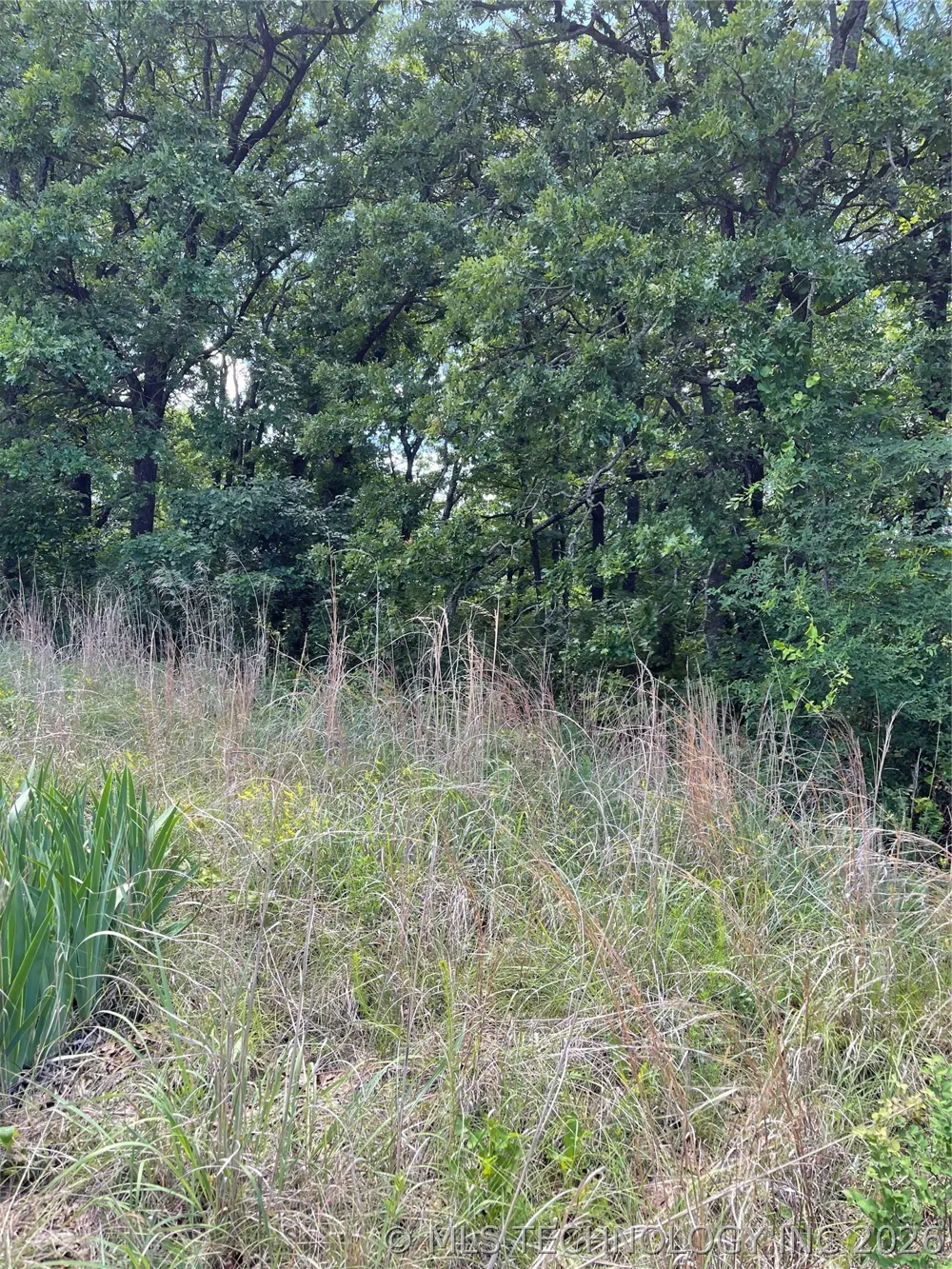 Lance Road Davis, OK 73030