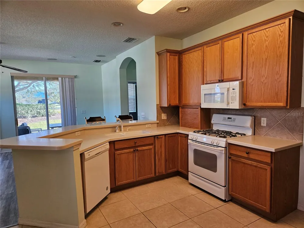 1161 JAMESON GREENS DRIVE Sun City Center, FL 33573