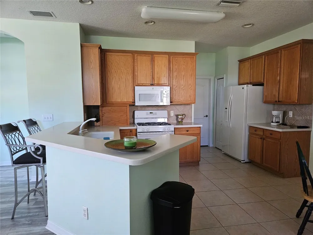 1161 JAMESON GREENS DRIVE Sun City Center, FL 33573