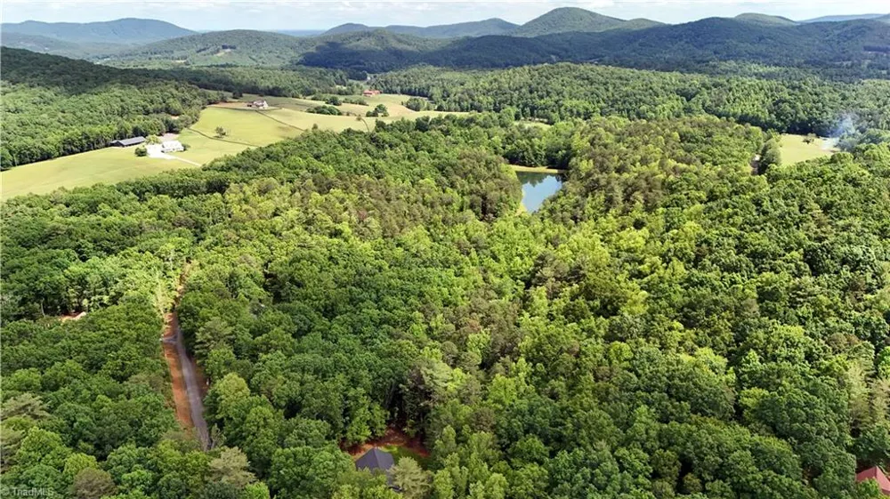 272 Baldwin Drive Lowgap, NC 27024