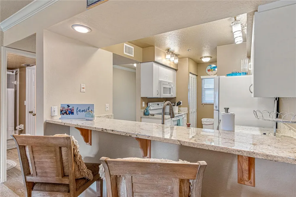 443 BOUCHELLE DRIVE #204 New Smyrna Beach, FL 32169