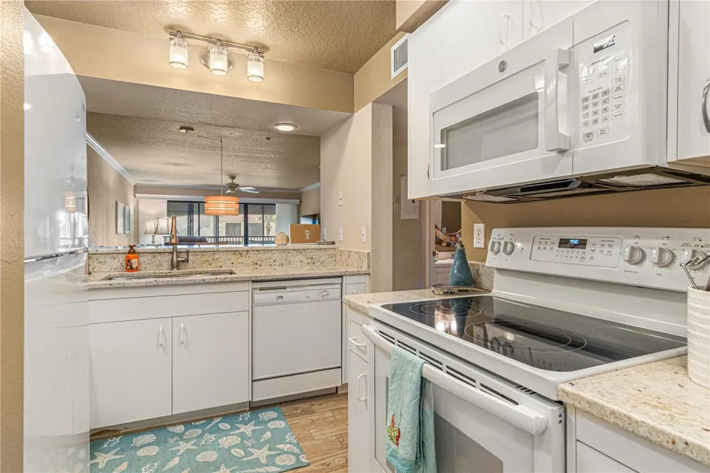 443 BOUCHELLE DRIVE #204 New Smyrna Beach, FL 32169