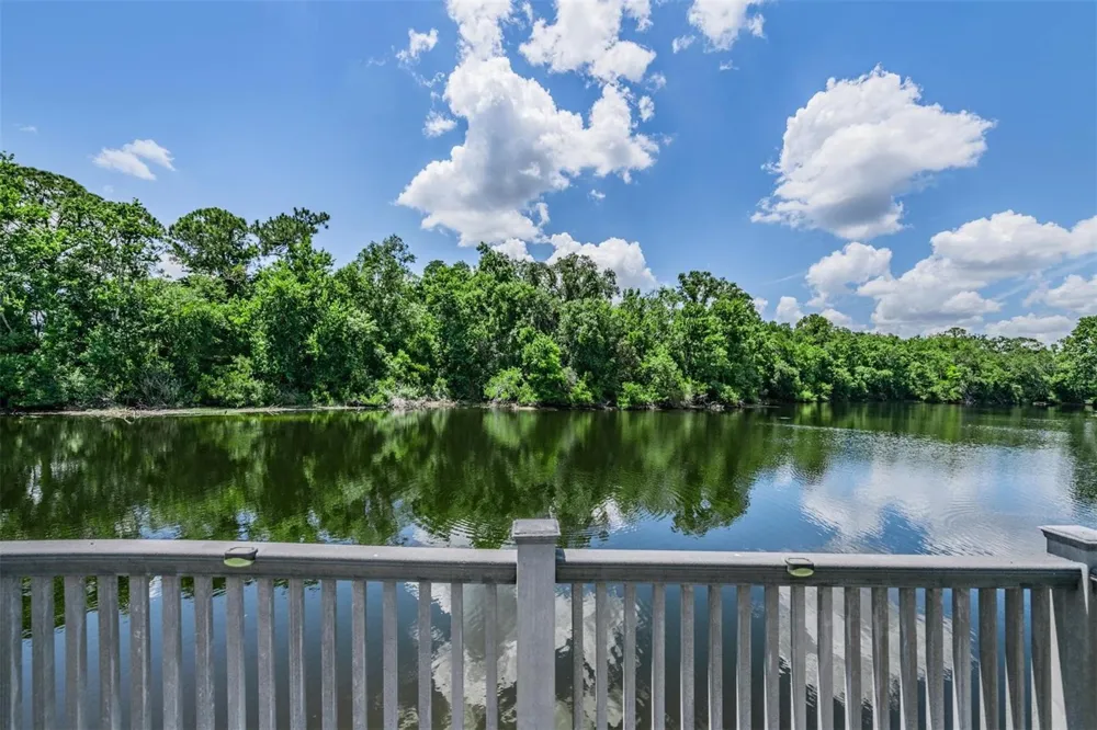 3817 NICHOLAS CIRCLE Tarpon Springs, FL 34688