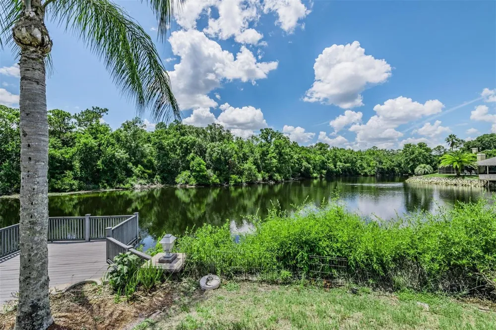 3817 NICHOLAS CIRCLE Tarpon Springs, FL 34688