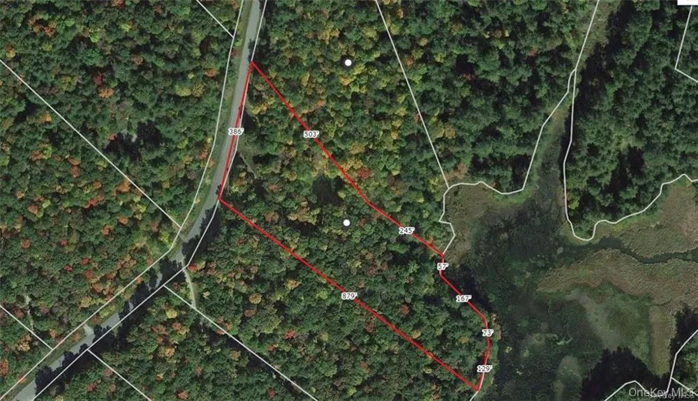 Lot 92 Mathias Weiden Drive Narrowsburg, NY 12764