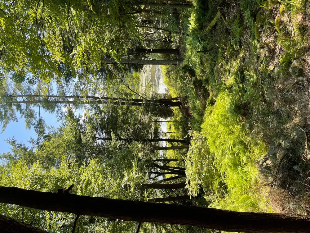 Lot 92 Mathias Weiden Drive Narrowsburg, NY 12764