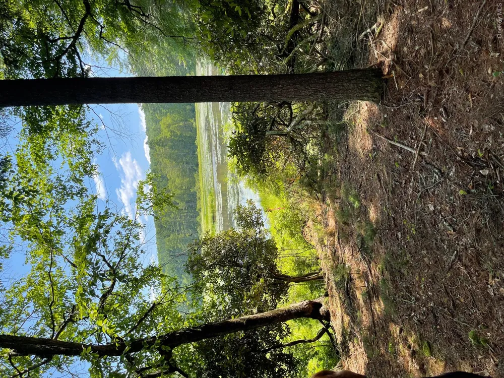 Lot 92 Mathias Weiden Drive Narrowsburg, NY 12764