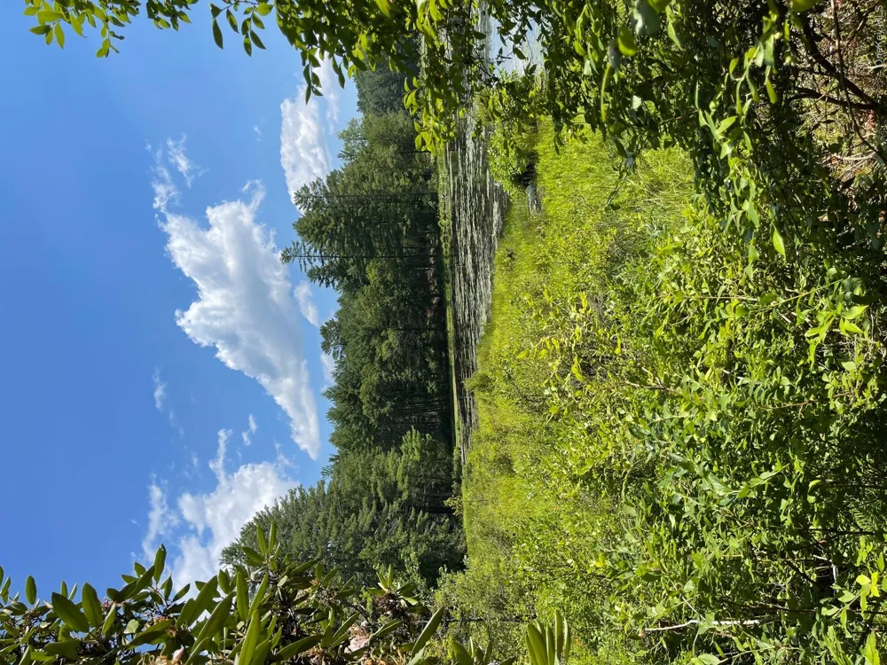 Lot 92 Mathias Weiden Drive Narrowsburg, NY 12764