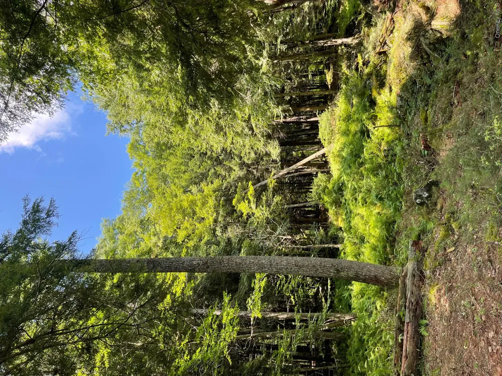 Lot 92 Mathias Weiden Drive Narrowsburg, NY 12764
